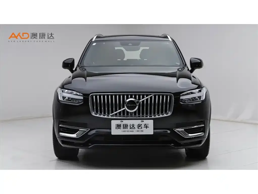 Volvo XC90 PHEV 2022 из CN, фото 10