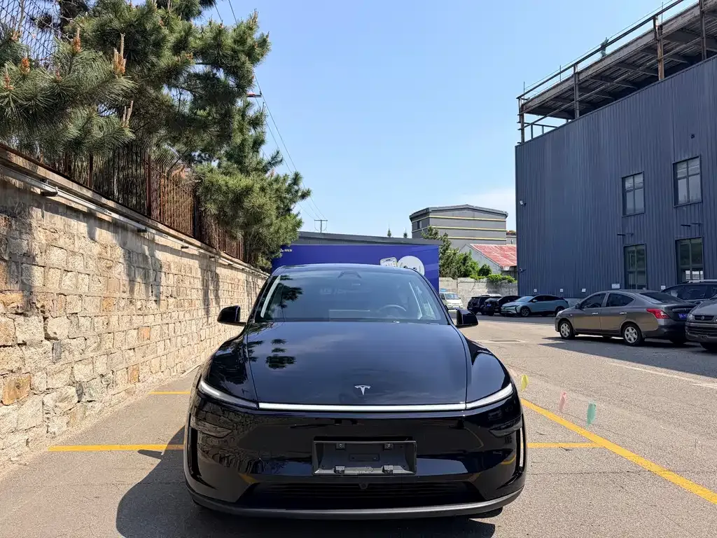 Tesla Model Y — фото 8