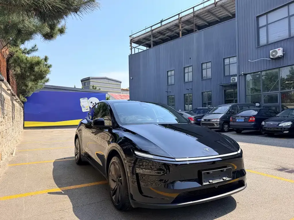 Tesla Model Y — фото 6