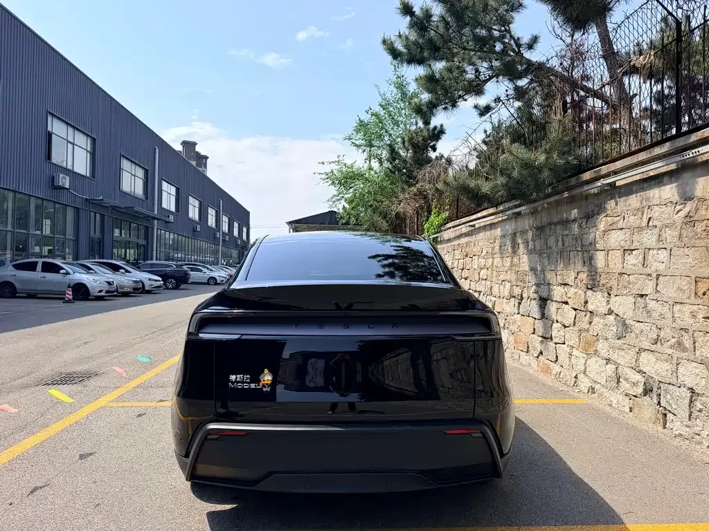 Tesla Model Y — фото 9