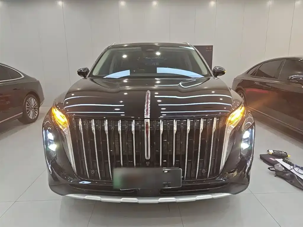 Hongqi HS7 PHEV 2024 из CN, фото 3