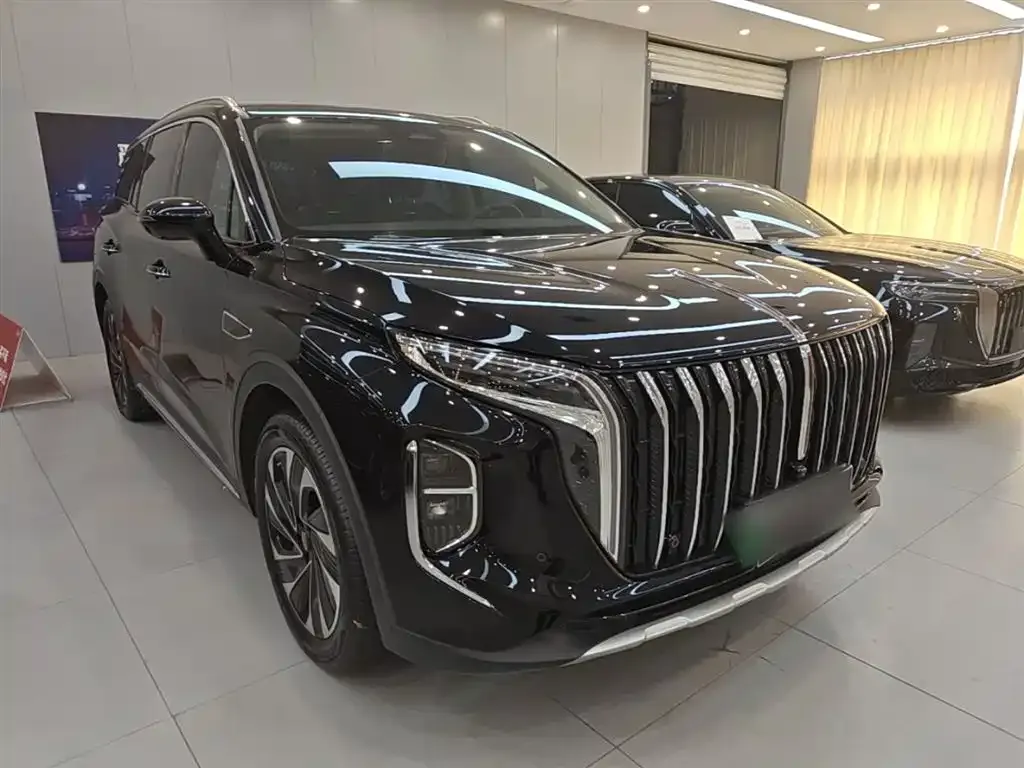 Hongqi HS7 PHEV 2024 из CN, фото 7