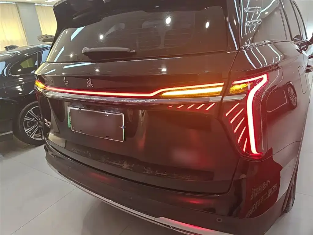 Hongqi HS7 PHEV 2024 из CN, фото 8