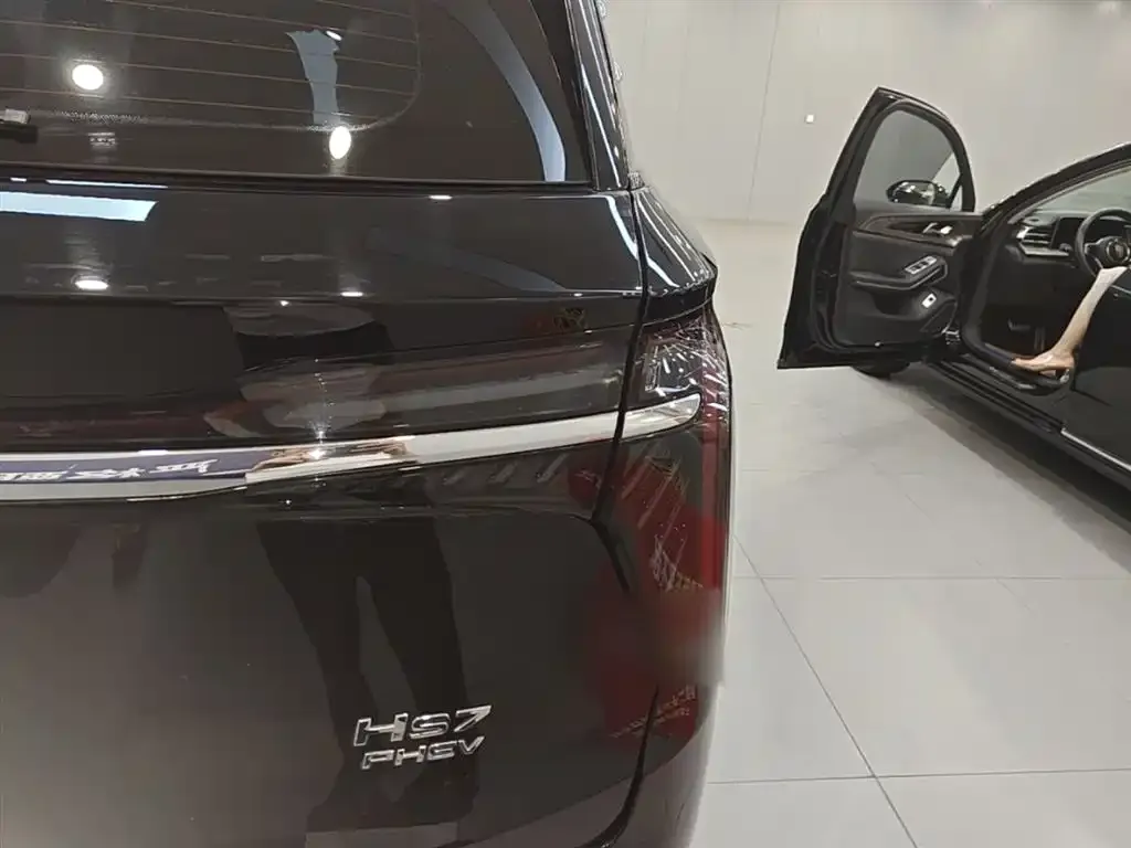 Hongqi HS7 PHEV 2024 из CN, фото 10