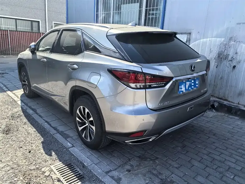 Lexus RX — фото 10