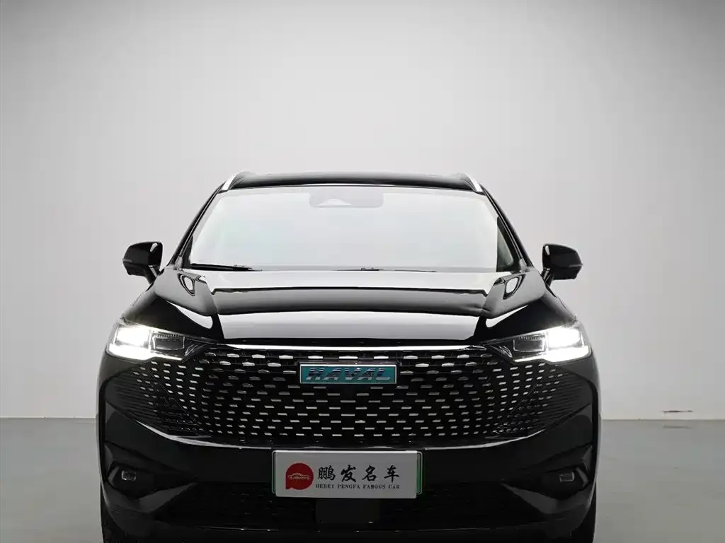 Haval H6 New Energy 2023 из CN, фото 7