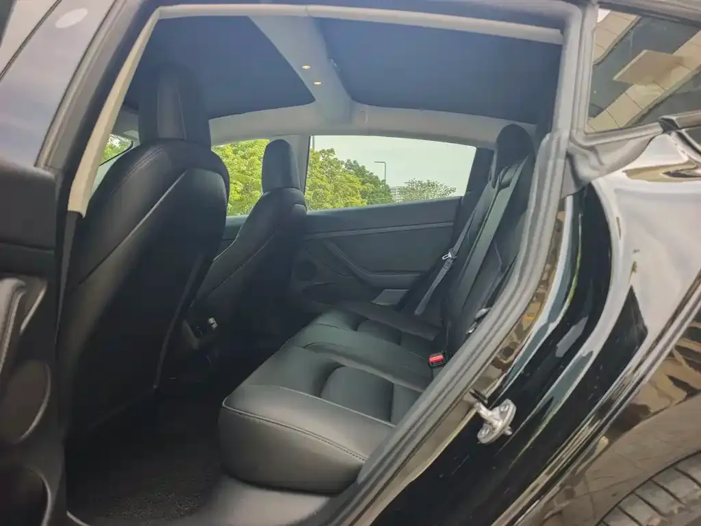 Tesla Model 3 2022 из CN, фото 2