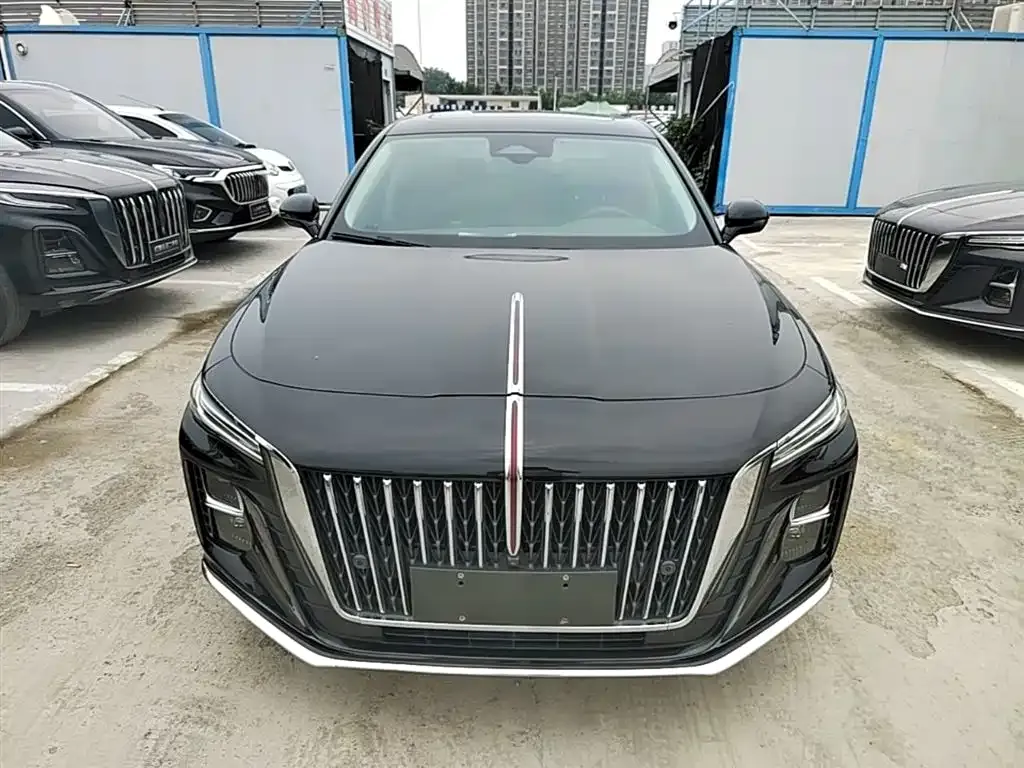 Hongqi H5 2024 из CN, фото 8