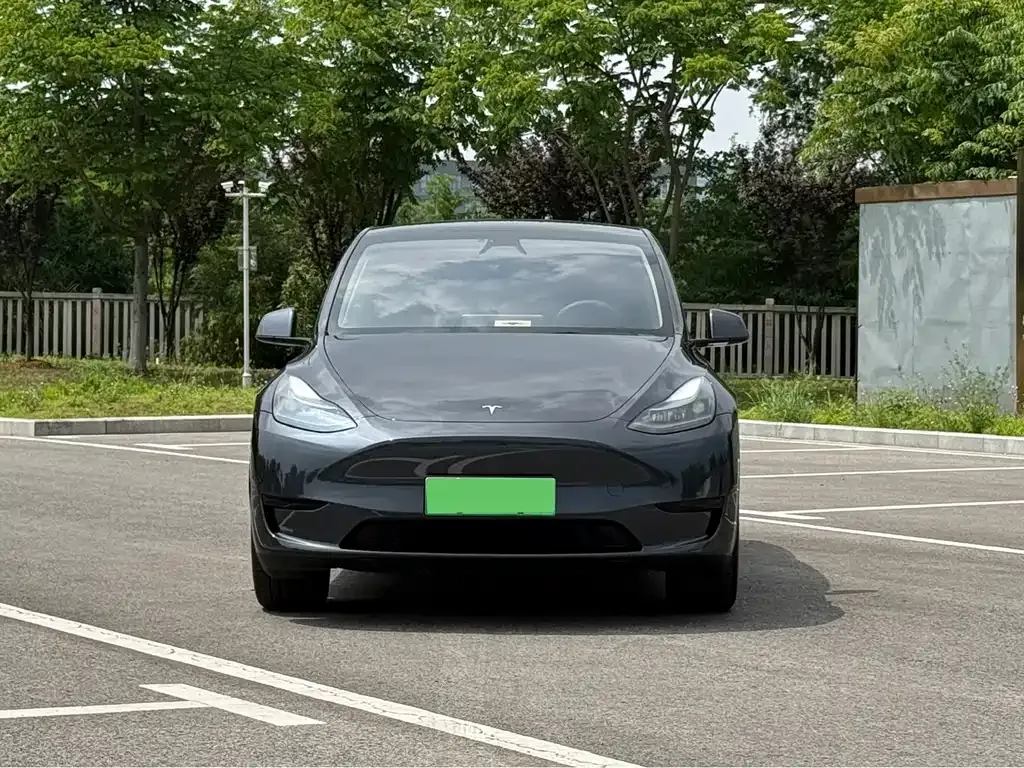 Tesla Model Y — фото 8