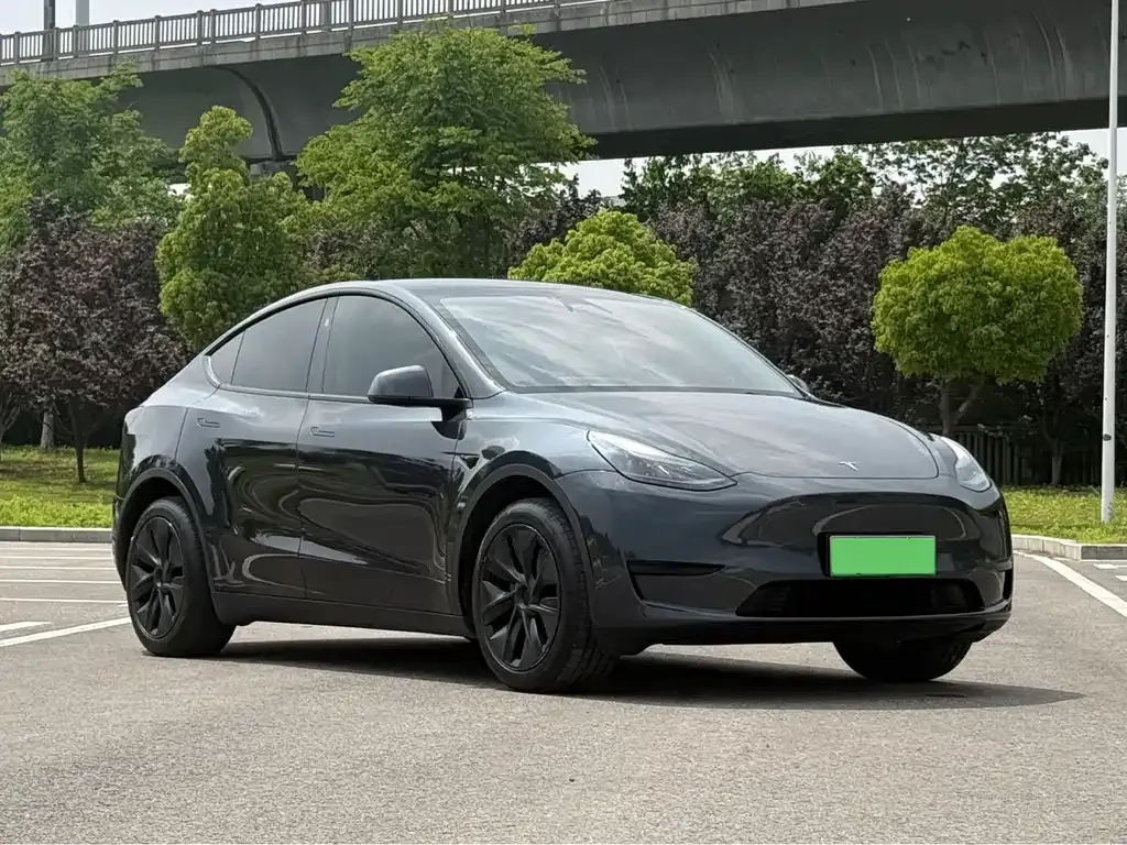 Tesla Model Y — фото 4