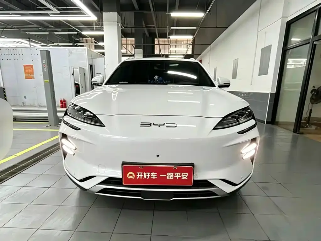 BYD PLUS New Energy — фото 1