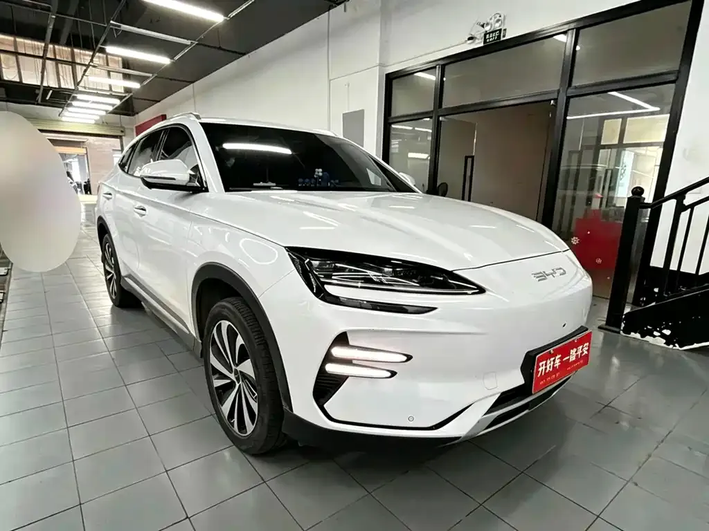 BYD PLUS New Energy — фото 4