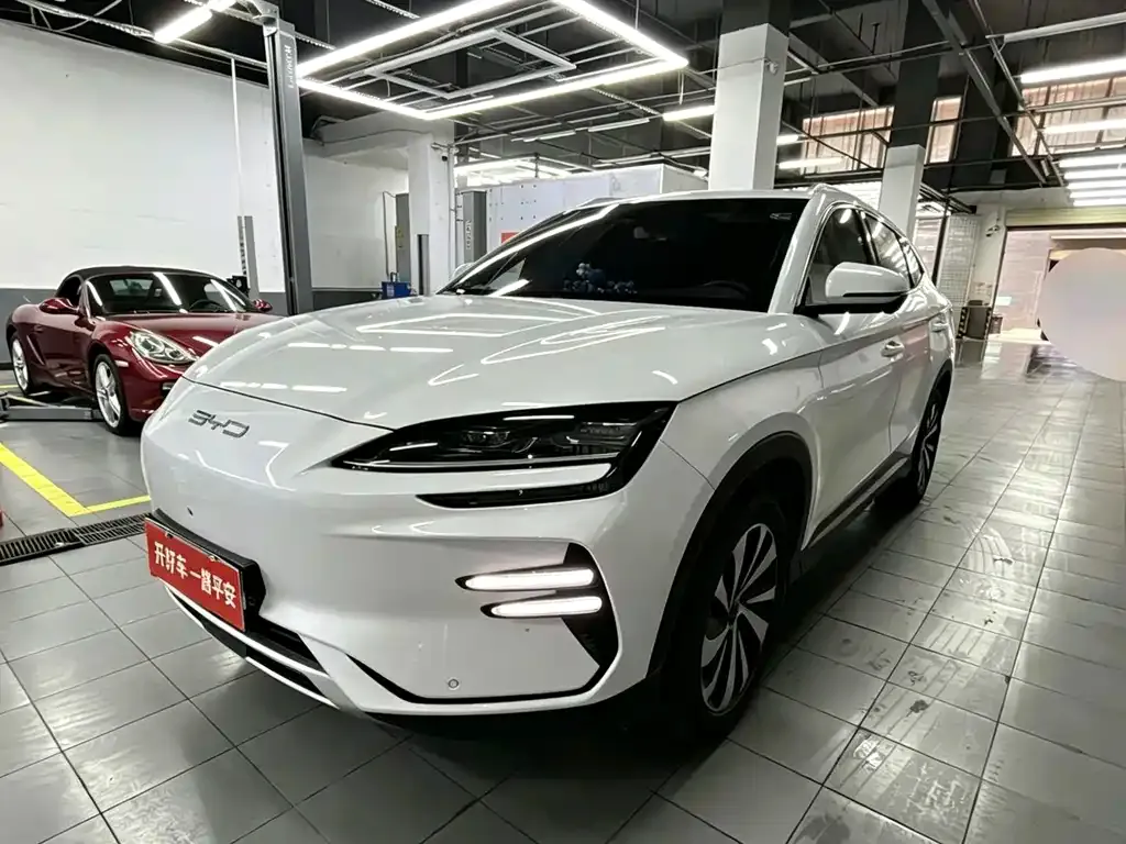 BYD PLUS New Energy — фото 5