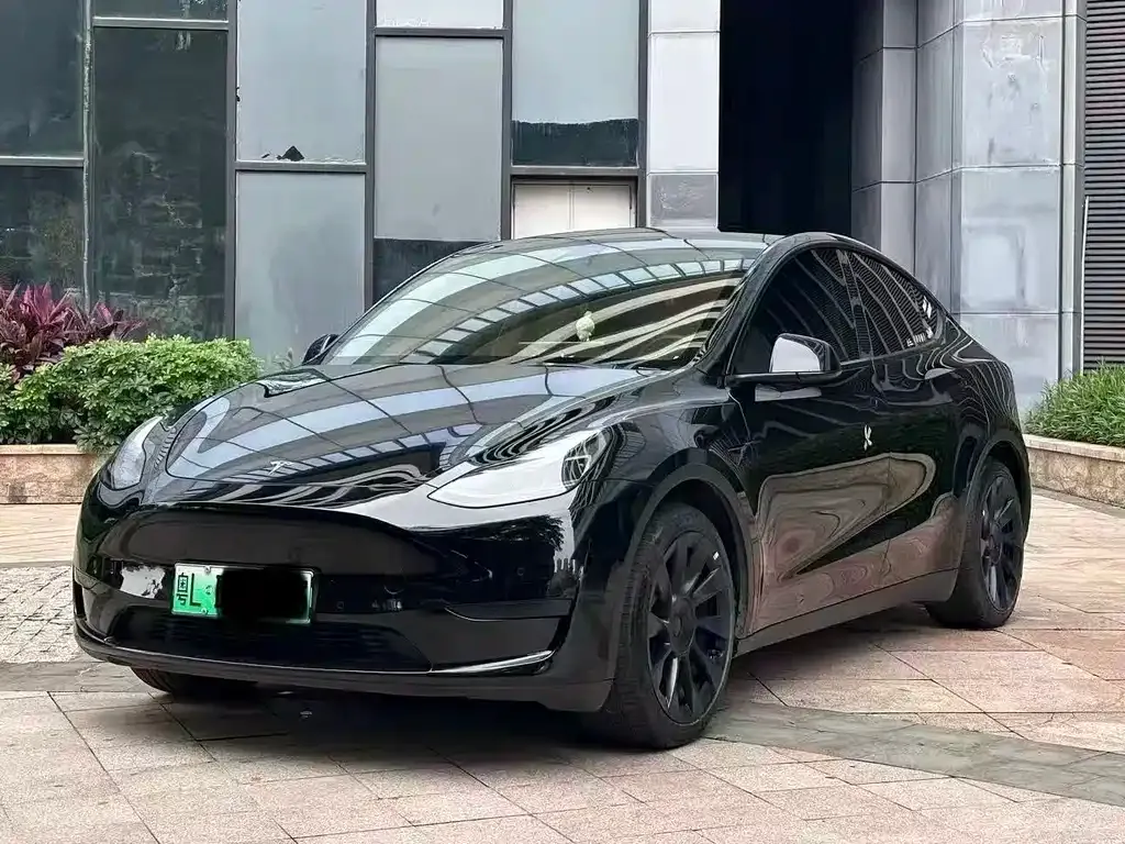 Tesla Model Y — фото 1