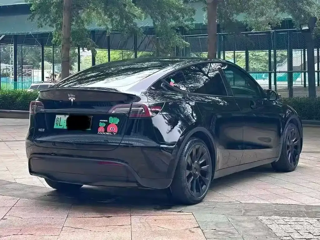 Tesla Model Y — фото 9