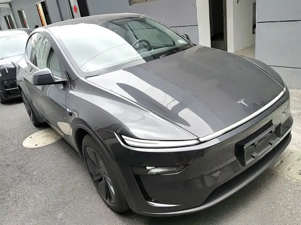 Tesla Model Y — фото 8