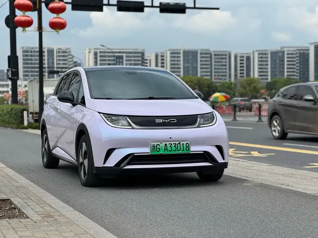 BYD Dolphin 2023 из CN, фото 8