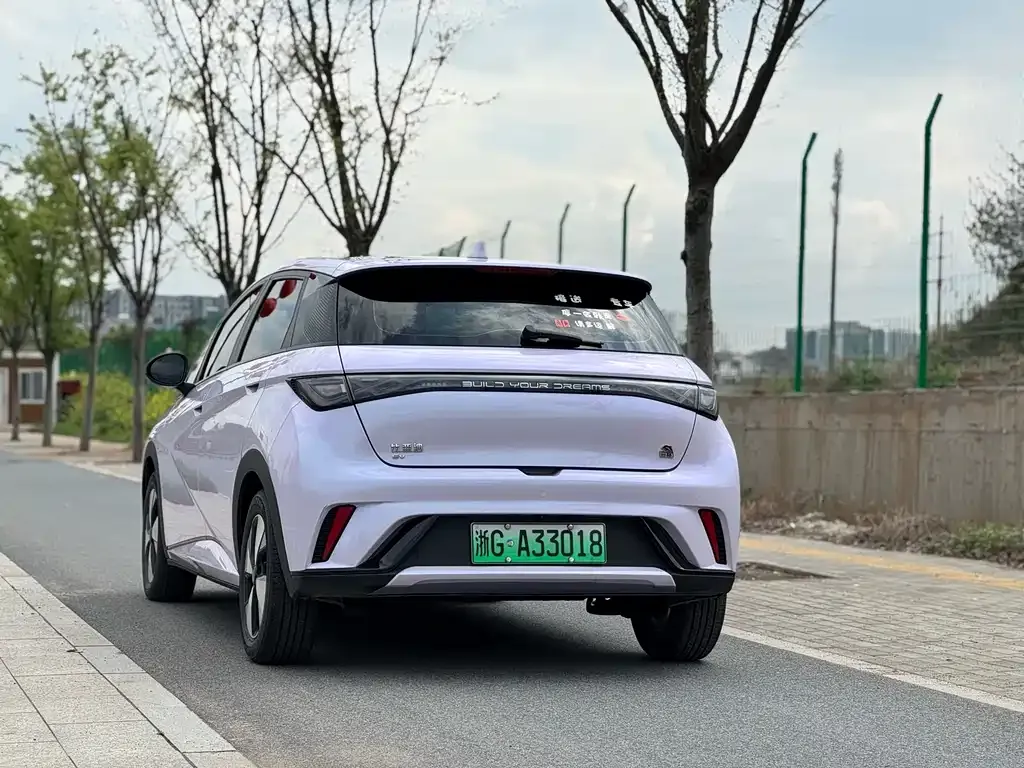 BYD Dolphin 2023 из CN, фото 4
