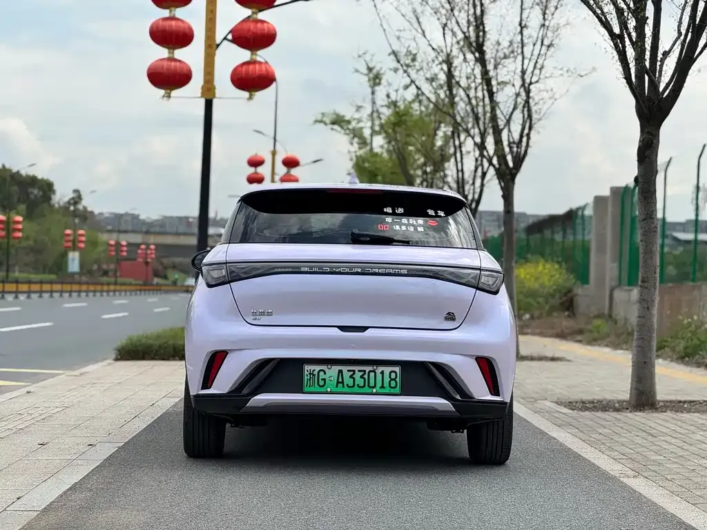 BYD Dolphin 2023 из CN, фото 6