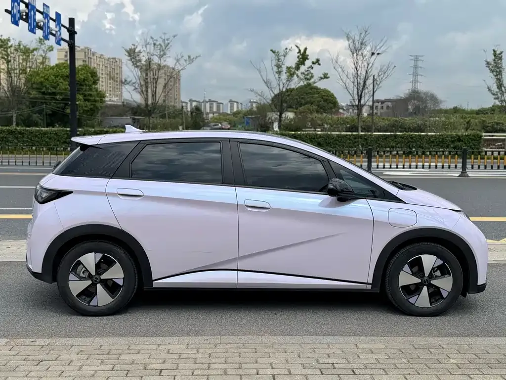 BYD Dolphin 2023 из CN, фото 2