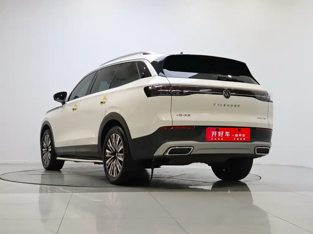 Volkswagen Tavendor 2024 из CN, фото 4