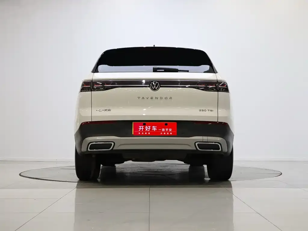 Volkswagen Tavendor 2024 из CN, фото 2