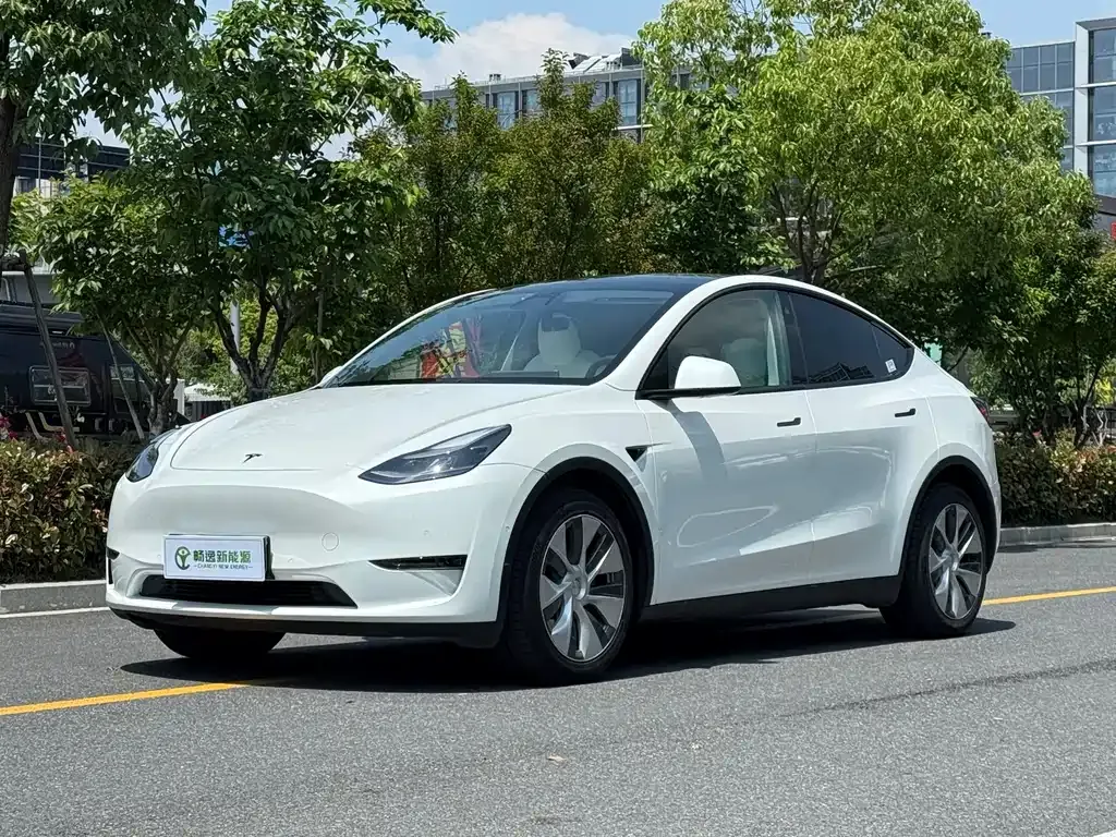 Tesla Model Y 2022 из CN, фото 1