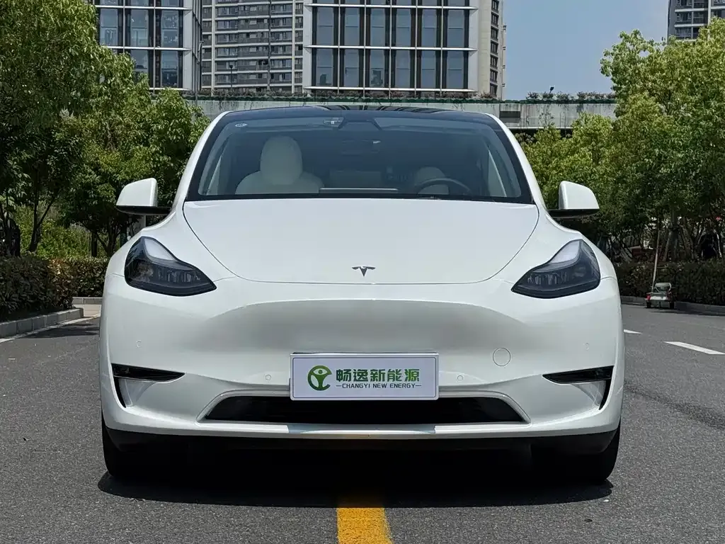 Tesla Model Y 2022 из CN, фото 4