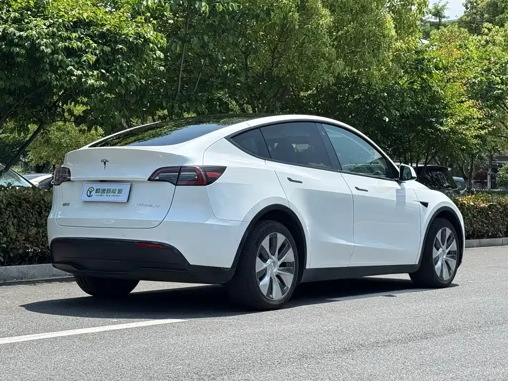Tesla Model Y 2022 из CN, фото 9
