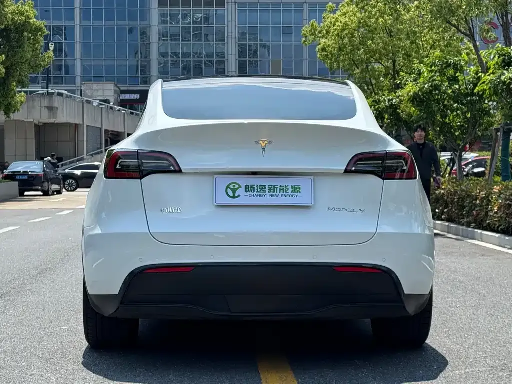 Tesla Model Y 2022 из CN, фото 7