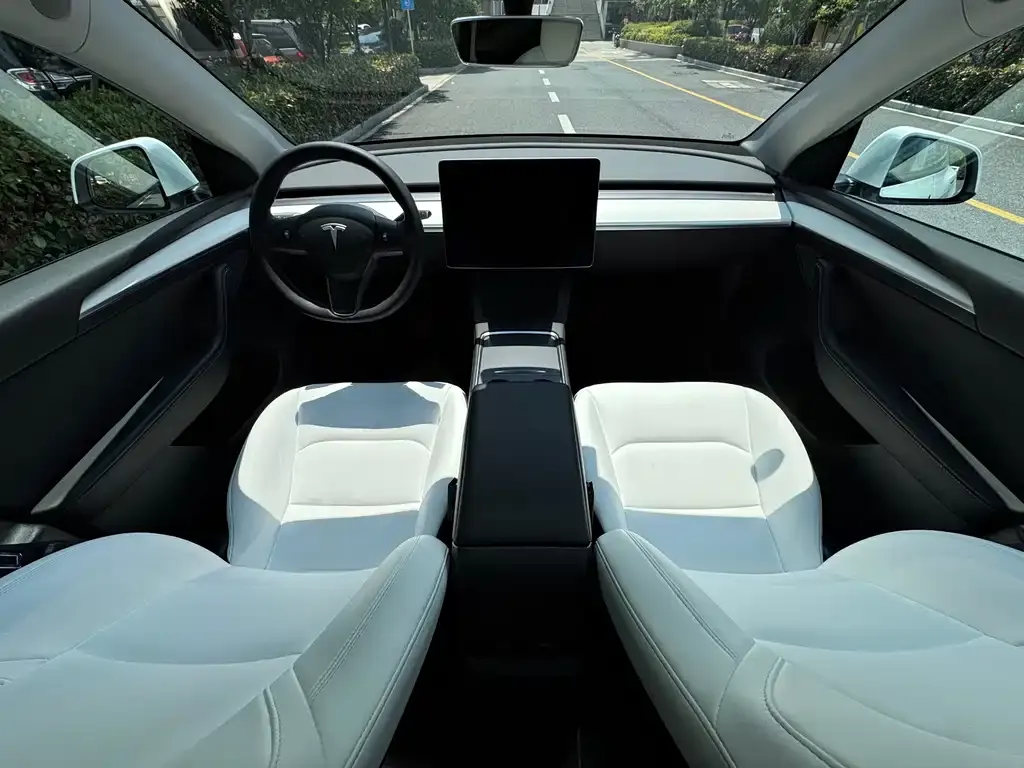 Tesla Model Y 2022 из CN, фото 3