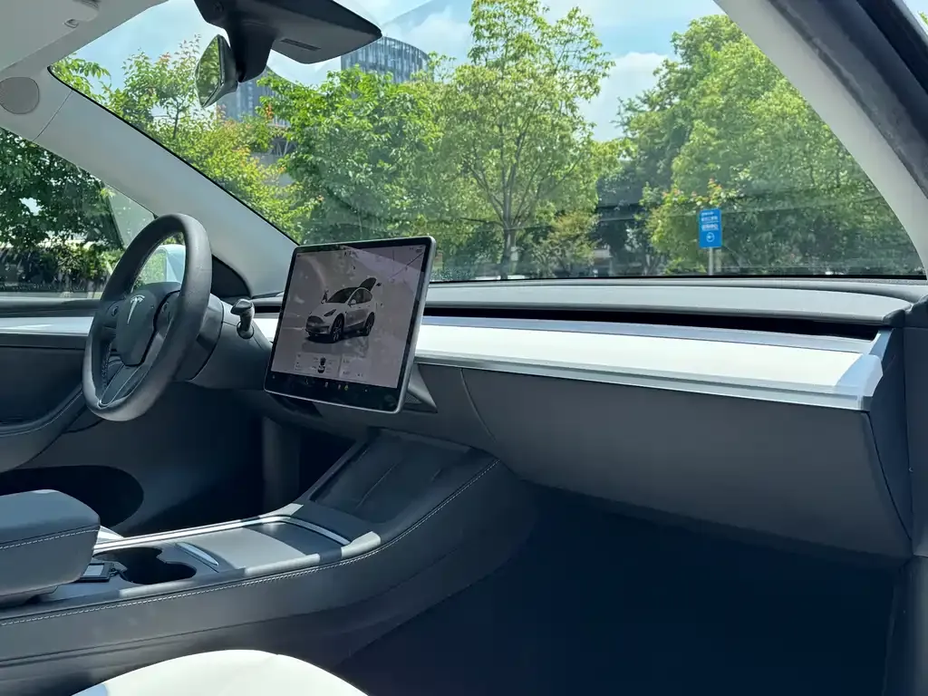 Tesla Model Y 2022 из CN, фото 5