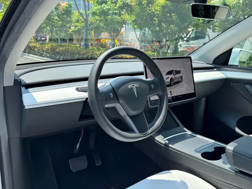 Tesla Model Y 2022 из CN, фото 6