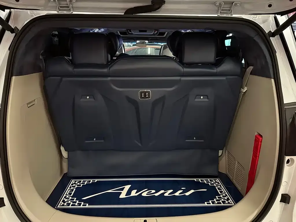 Buick GL8 2021 из CN, фото 6