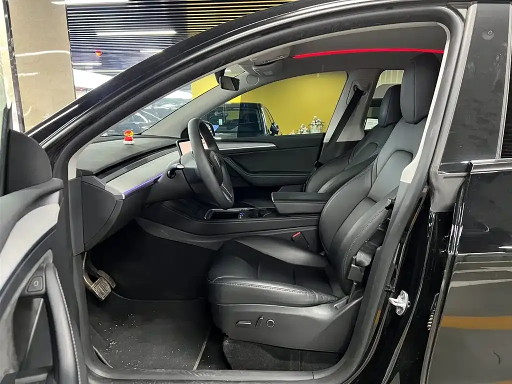 Tesla Model Y 2023 из CN, фото 6