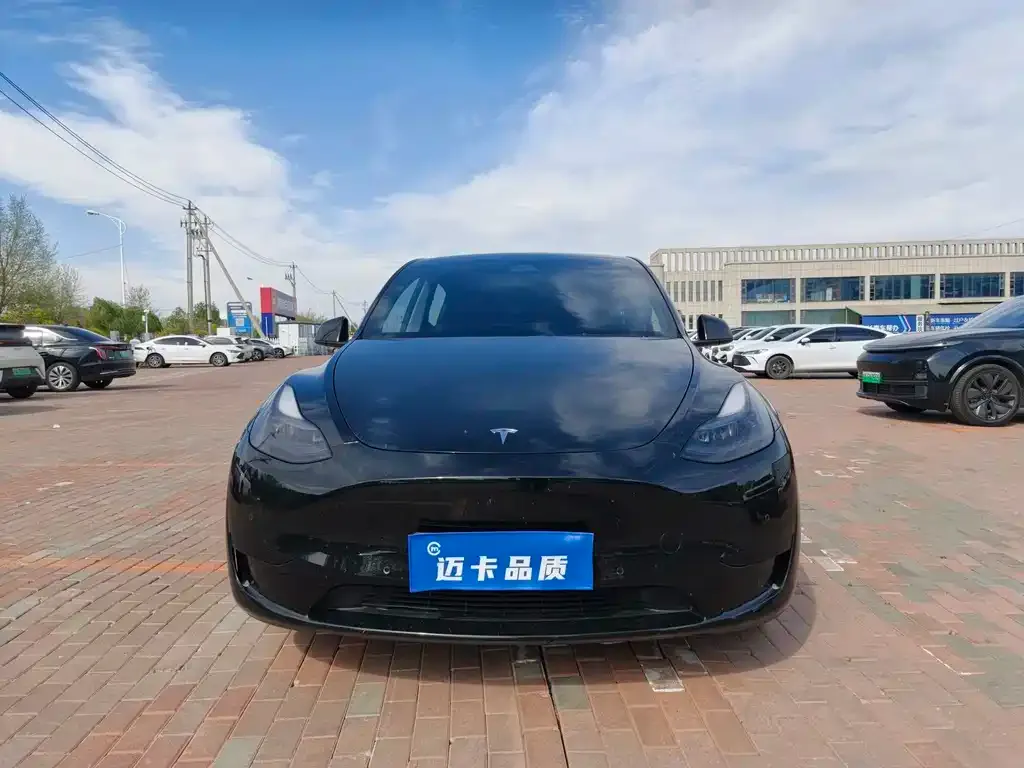 Tesla Model Y — фото 10