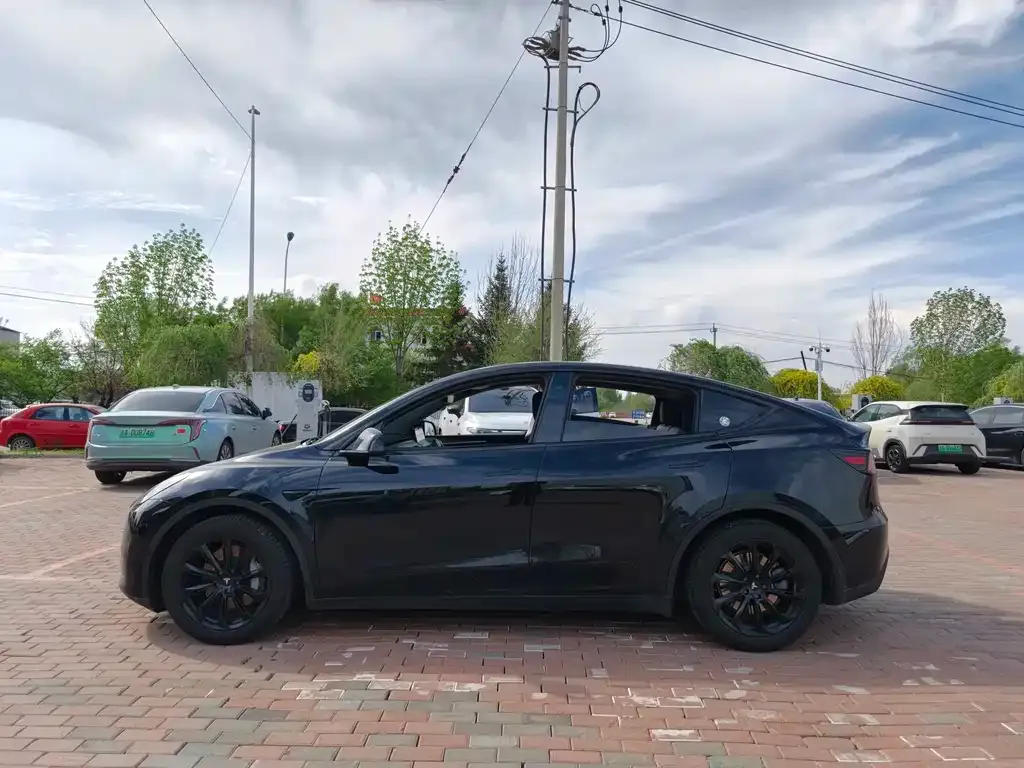 Tesla Model Y — фото 5