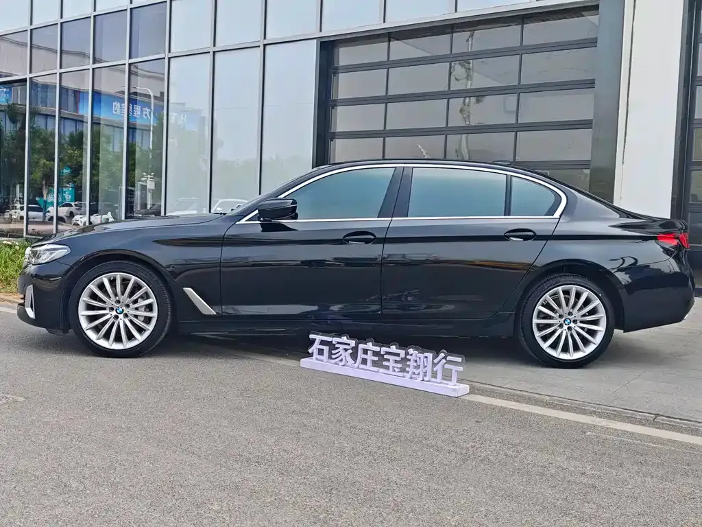 BMW 5 Series 2021 из CN, фото 8