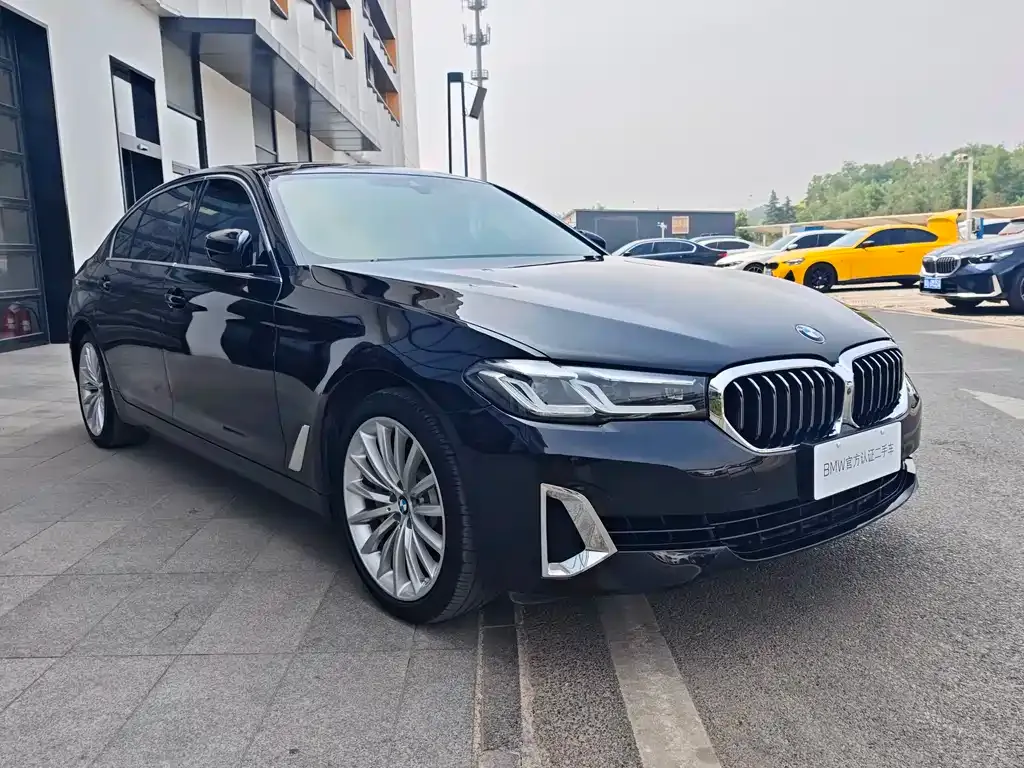 BMW 5 Series 2021 из CN, фото 7