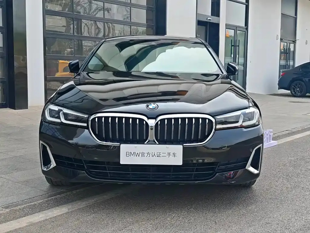 BMW 5 Series 2021 из CN, фото 4