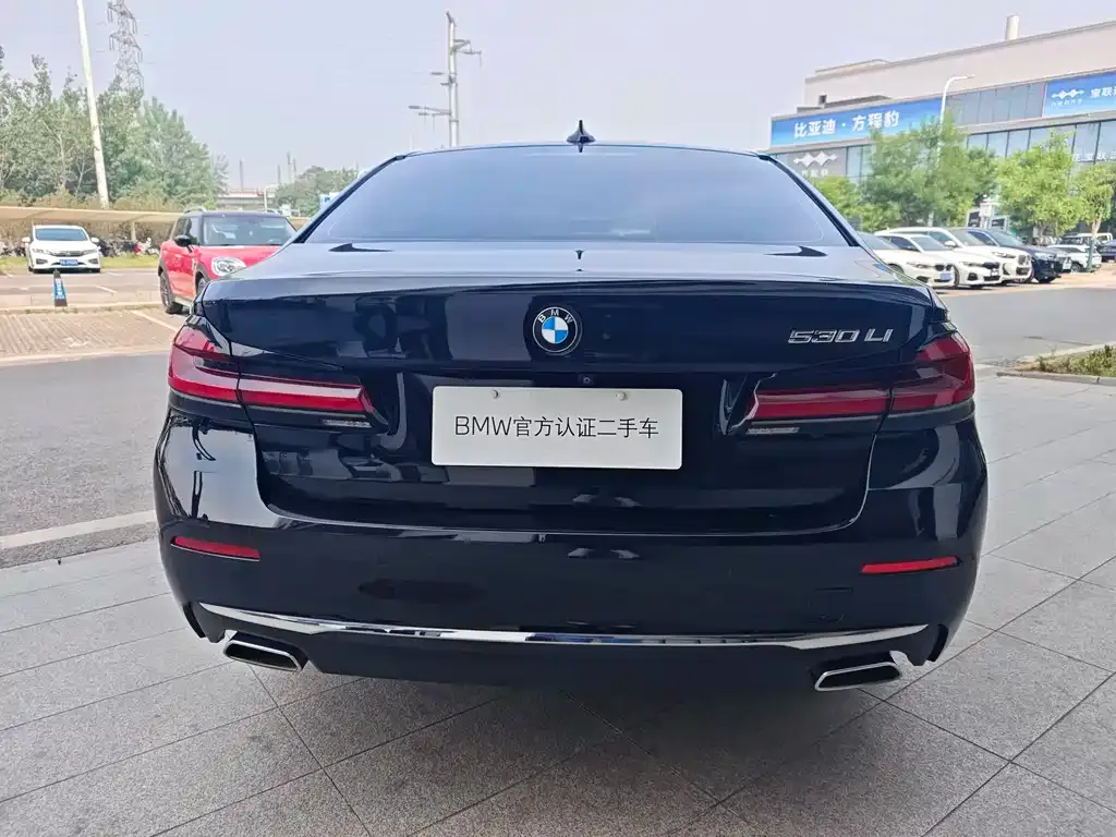 BMW 5 Series 2021 из CN, фото 2