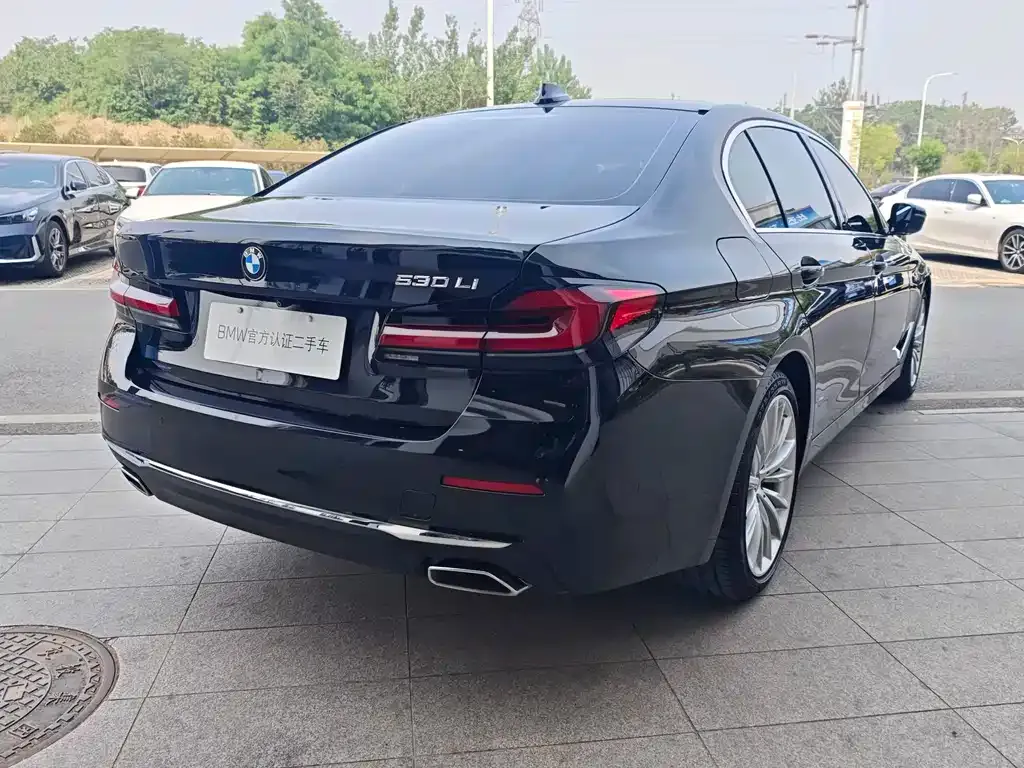 BMW 5 Series 2021 из CN, фото 9