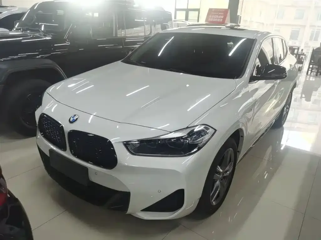 BMW X2 — фото 1