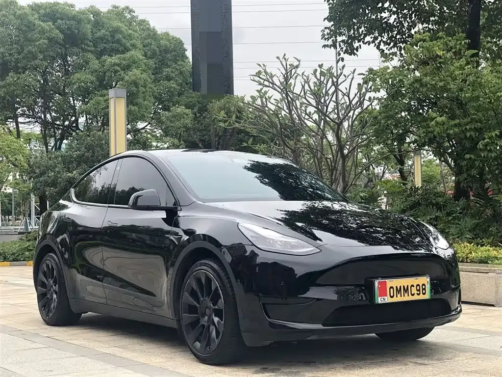 Tesla Model Y — фото 6