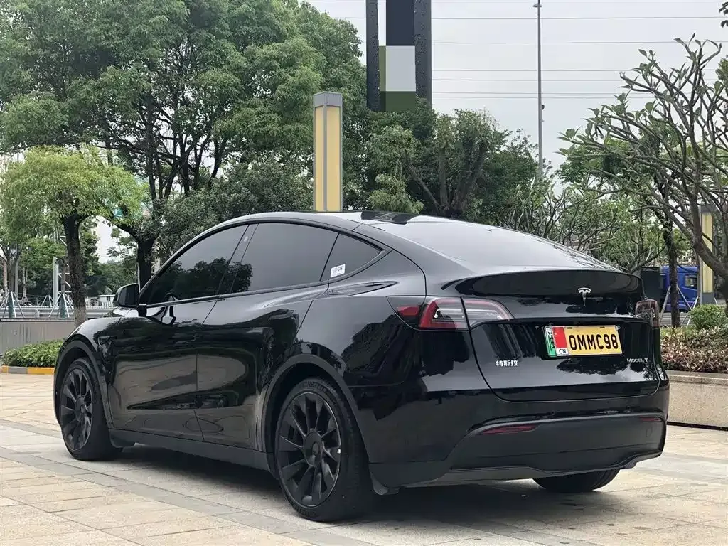 Tesla Model Y — фото 10