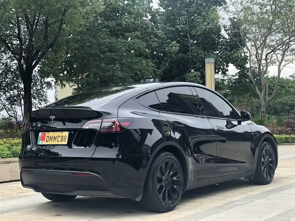Tesla Model Y — фото 8