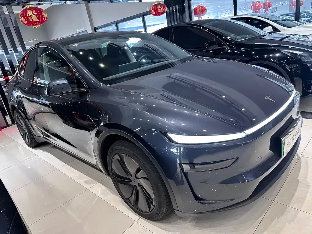 Tesla Model Y — фото 5