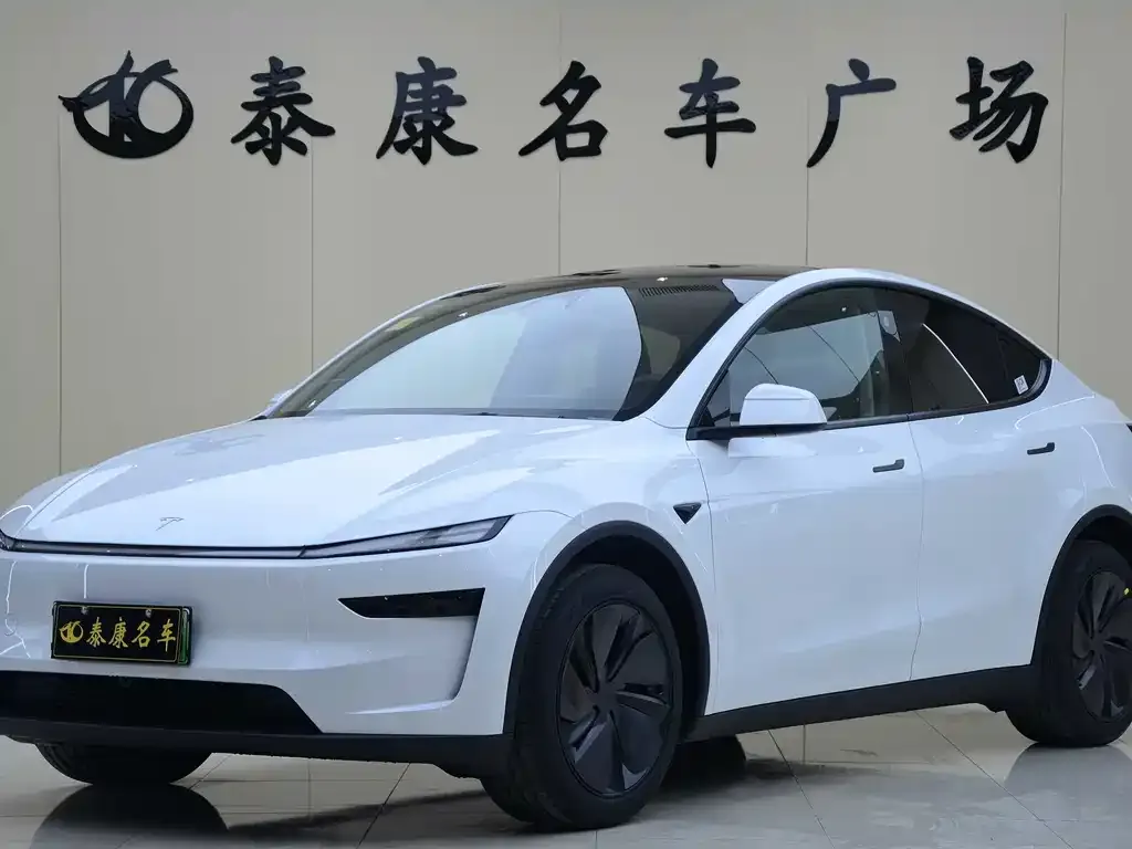 Tesla Model Y — фото 1