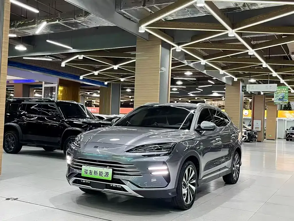 BYD PLUS New Energy — фото 1