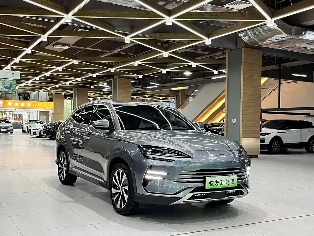 BYD PLUS New Energy — фото 5